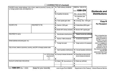 irs 1099 div instructions 2023